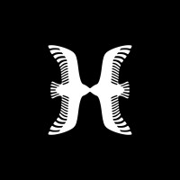 Halcyon logo - Similar company to Lunaz