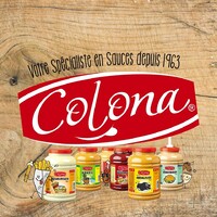 Colona Romania logo - Similar company to Lactovit Remete