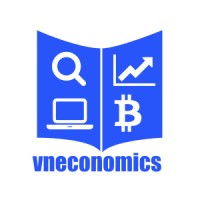 VNEconomics Academy logo - Similar company to Digital Learning Academy Botswana
