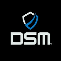 DSM México logo - Similar company to Cappesa