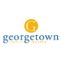 Georgetown County Chamber of Commerce logo - Similar company to Georgetown County Economic Development