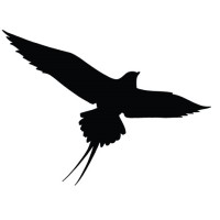 Fjelljo AS logo - Similar company to Ferner Jacobsen As