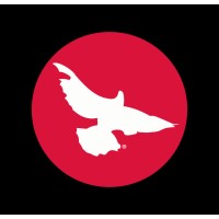 KAIZEN 7 logo - Similar company to Cemap Sac