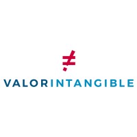 VALORINTANGIBLE SL logo - Similar company to Humphrey B. Bear Entertainment Pty Ltd