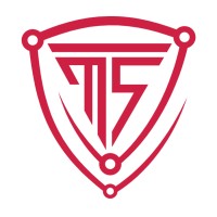 MST Networks logo - Similar company to Mithra Consulting