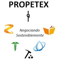 PROPETEX logo - Similar company to Ieee Aess Uni