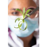 Jardín Botánico de Bogotá José Celestino Mutis - Oficial logo - Similar company to Gold Technology Llc