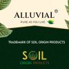 Alluvial SOP logo - Similar company to Reddish Technology