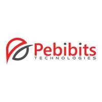 Pebibits Technologies logo - Similar company to Pebi Technologies