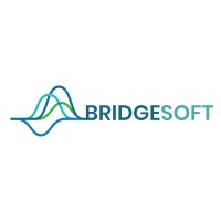 Bridgesoft logo - Similar company to Federpath Consultants
