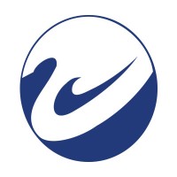 Swan Solutions & Services Pvt Ltd. logo - Similar company to Netflow Technologies (I) Pvt Ltd