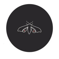 Katanya Design logo - Similar company to Indigenous Box Inc.