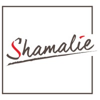 Shamalie Consulting logo - Similar company to Visionbridge Consulting, Llc