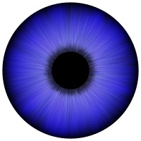 Thompson Optics Ltd.