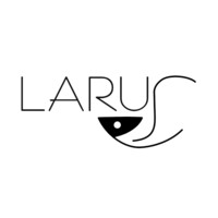 Larus Travel logo - Similar company to Emmedi