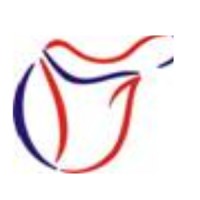 Ibrahim international logo - Similar company to Lex International