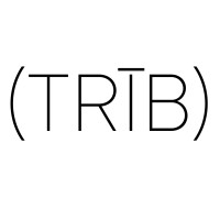 Tribe Consulting logo - Similar company to Why And Wow