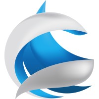 Revolution Data Systems logo - Similar company to Image One Corporation