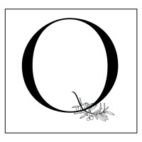 Quandary Counseling & Consulting, LLC logo - Similar company to Face To Face Mental Health Services, Llc