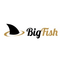 BigFish Partners logo - Similar company to Samurai Studio By Natsumeatari