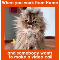 Work Memes logo - Similar company to Memes