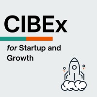 CIBEx for Startup and Growth logo - Similar company to Cibex- Continuous Improvement For Business Excellence