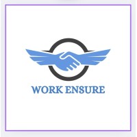 Work Ensure logo - Similar company to Med Techpro Solutions