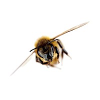 FONDS DE DOTATION POUR LA BIODIVERSITÉ logo - Similar company to Uchange