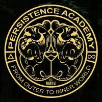 Persistence Academy logo - Similar company to Persistence Preparatory Academy