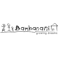 Friends of Bambanani logo - Similar company to Het Sikkelcelfonds