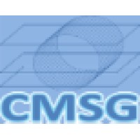 CMSG logo - Similar company to A.N. All New Investments Limited