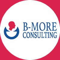 B-More Consulting LLP logo - Similar company to V G P G & Associates Llp