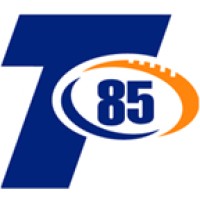 Team85 Fitness & Wellness logo - Similar company to Vibrant Vault