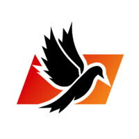 TRANSGEORGIA logo - Similar company to New Line Llc