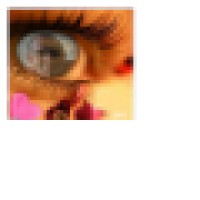 The Eye