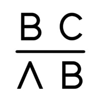 Braunschweig Consulting logo - Similar company to It Solutions Braunschweig