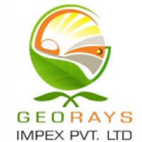 GEORAYS IMPEX PRIVATE LIMITED logo - Similar company to Team Saksham International