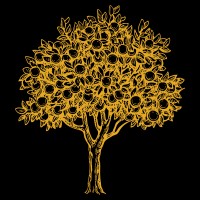 Cherry Orchard Funding Limited logo - Similar company to Kmp Solutions