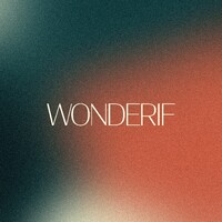 Wonderif Studio logo - Similar company to Lisa Bean