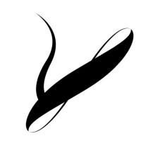 Veinova logo - Similar company to Stratiq Digital