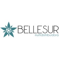 Bellesur logo - Similar company to Aylevel