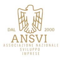 ANSVI logo - Similar company to Reputation Research