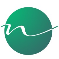 New River Consulting logo - Similar company to Blue Forest