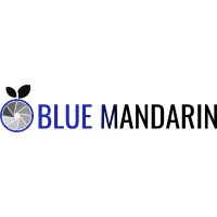 Blue Mandarin logo - Similar company to Recruitwizer