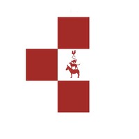 Türkische Studierendengemeinschaft Bremen logo - Similar company to Dwpartner Gmbh & Co. Kg