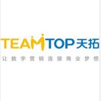 广州天拓网络技术有限公司，Guangzhou Teamtop Network Technology Co., Ltd