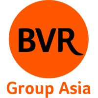BVR Group Asia logo - Similar company to Remarc.Group