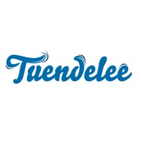 TUENDELEE FOUNDATION logo - Similar company to Cfo Innovation Partners