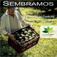Revista Sembramos Portafolio logo - Similar company to Sello Colombiagap