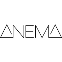 anema - architectural visualization logo - Similar company to Ray Dimension-Architectural Visualization